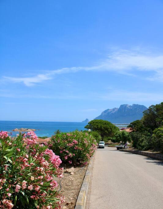 Relais Il Corallo Porto San Paolo  Ngoại thất bức ảnh